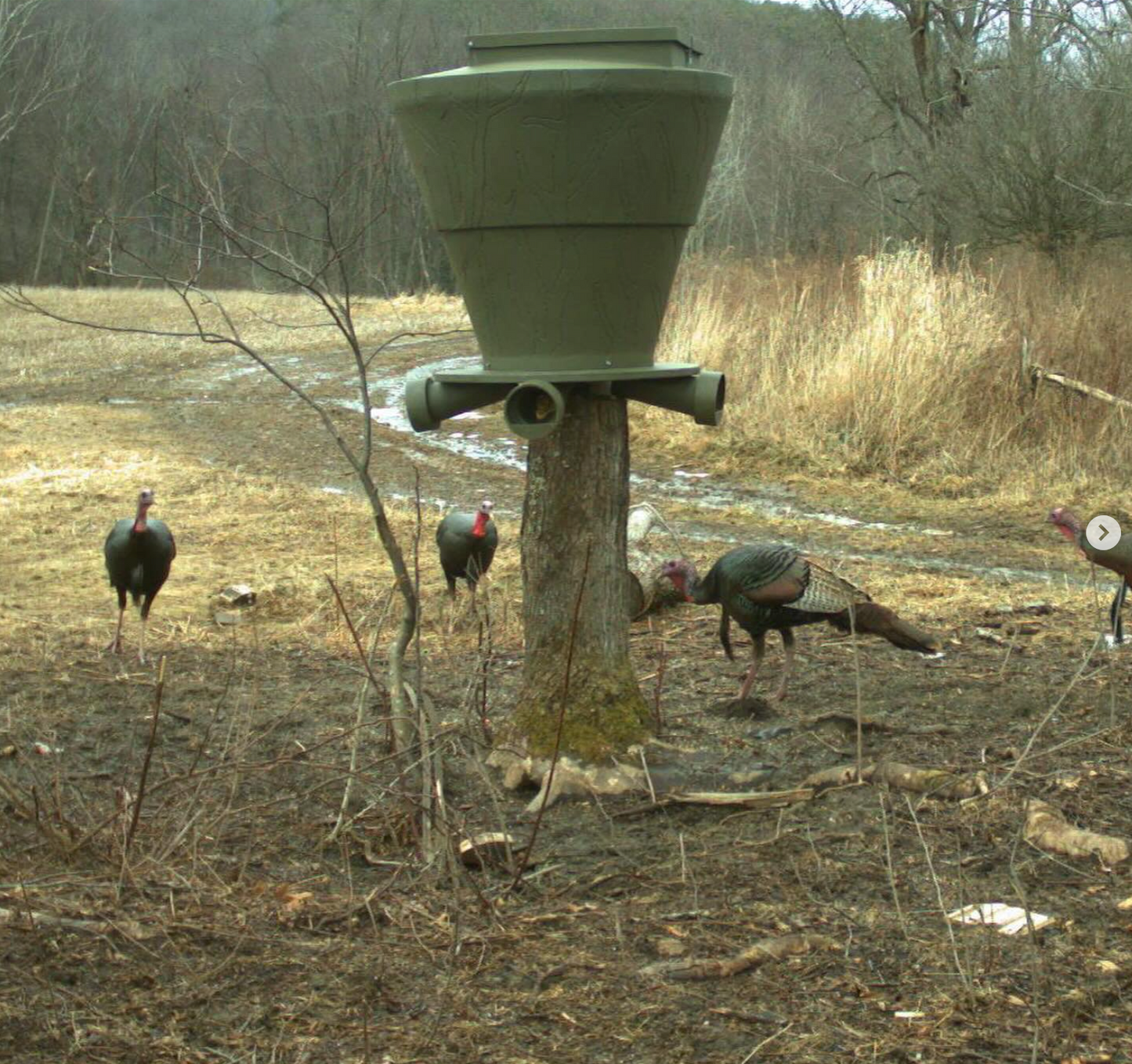 Banks Outdoors Feedbank 600 Gravity Deer Feeder