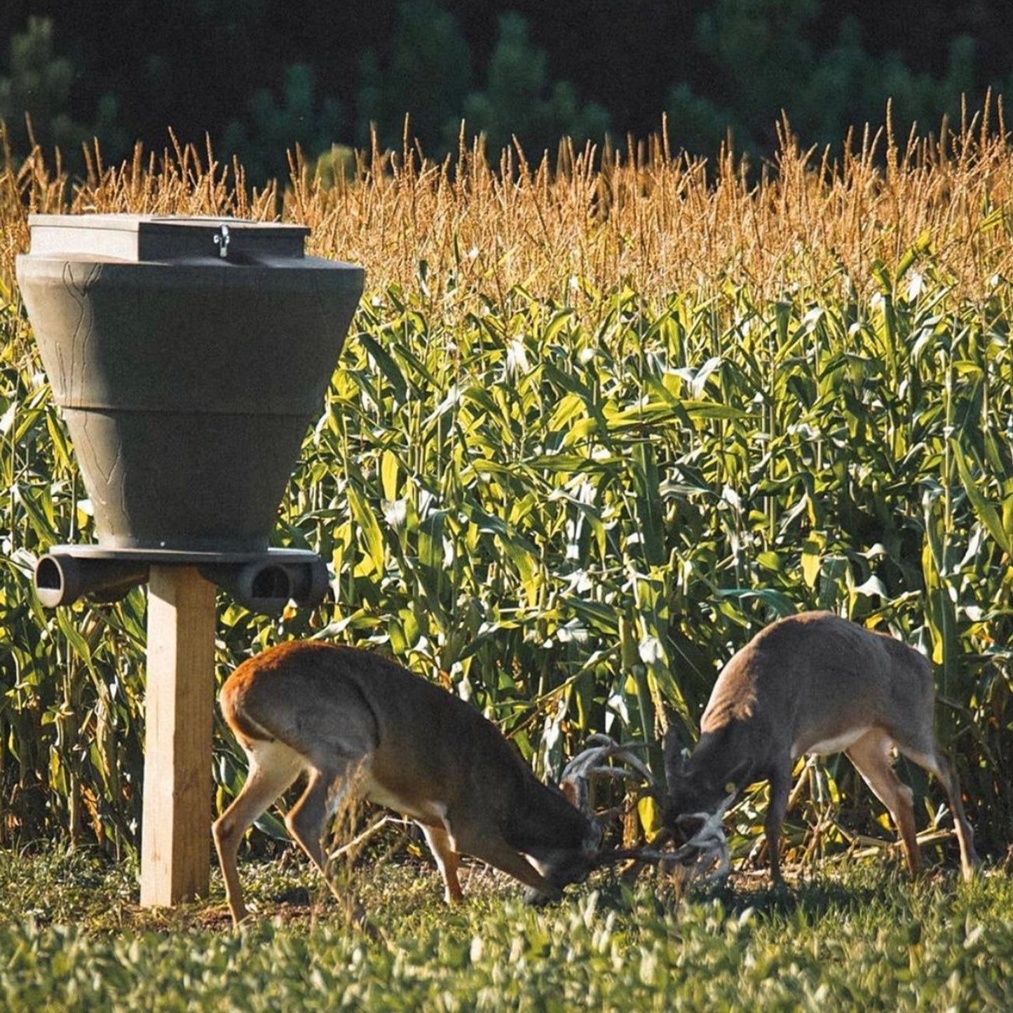 Banks Outdoors Feedbank 600 Gravity Deer Feeder